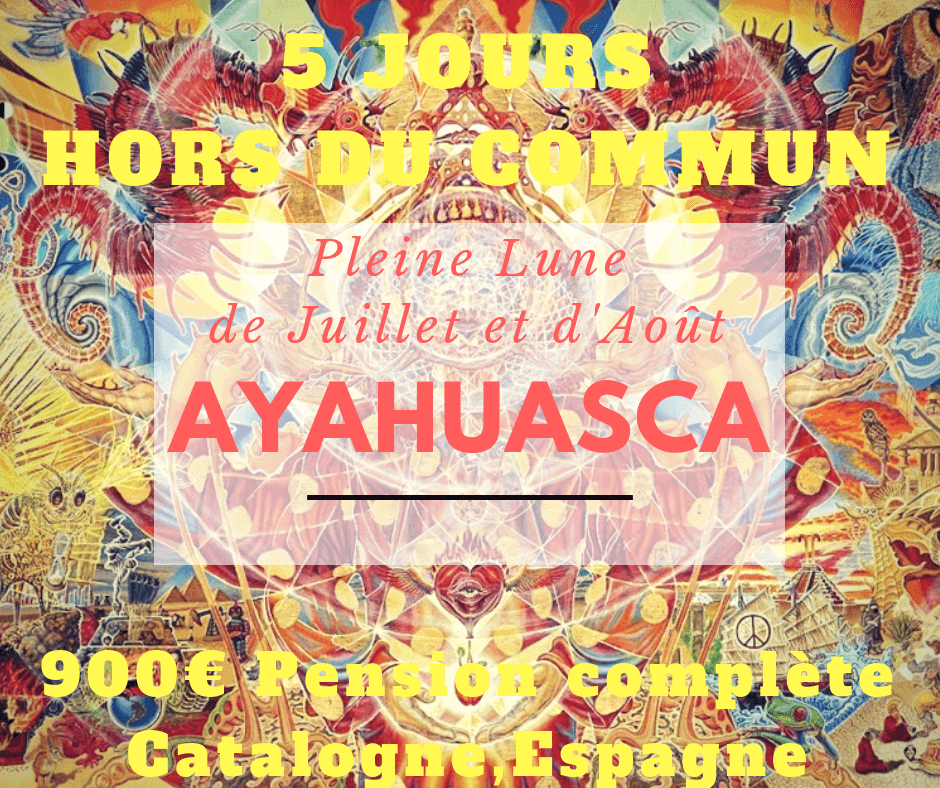 Christophe Flamingo, Chaman