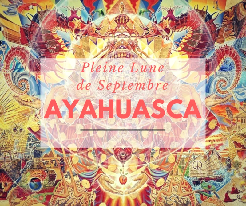 Christophe Flamingo, Chaman